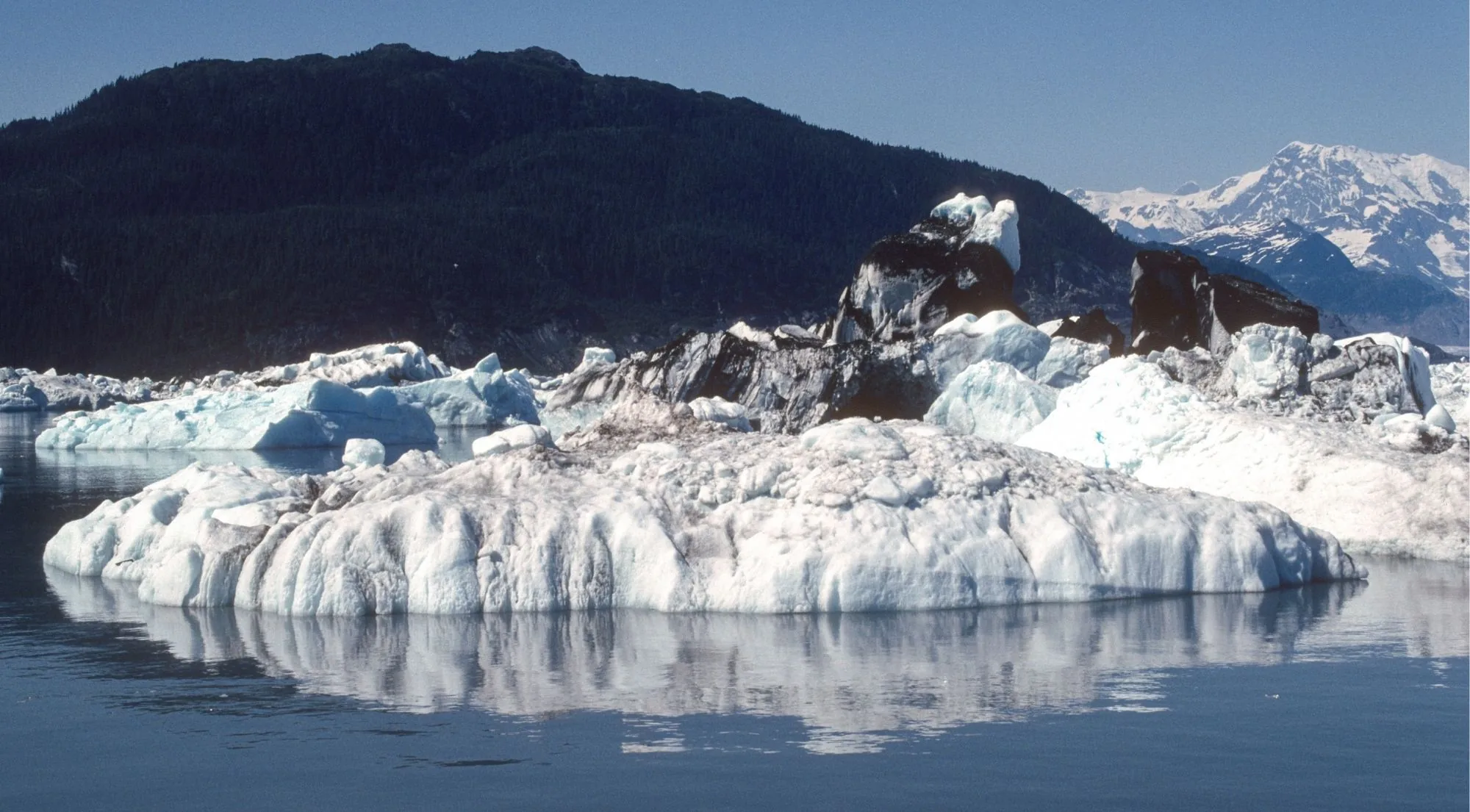A stranded iceberg of white and blue glacial ice floating in front of dark forested mountains in Prince William Sound